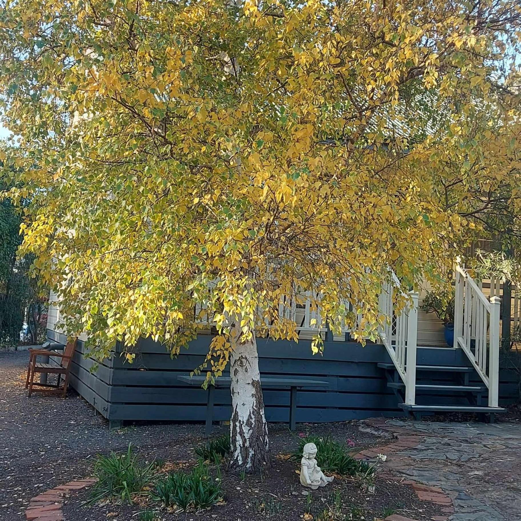 Avoca Cottages Victoria Bagian luar foto